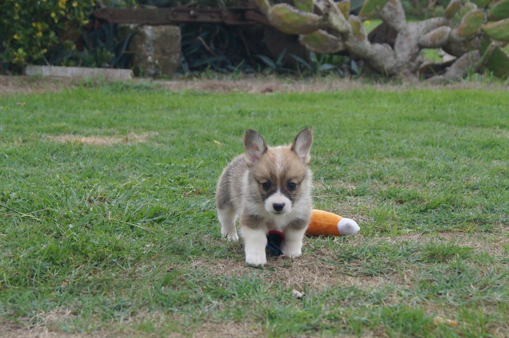 Comment ne pas craquer!