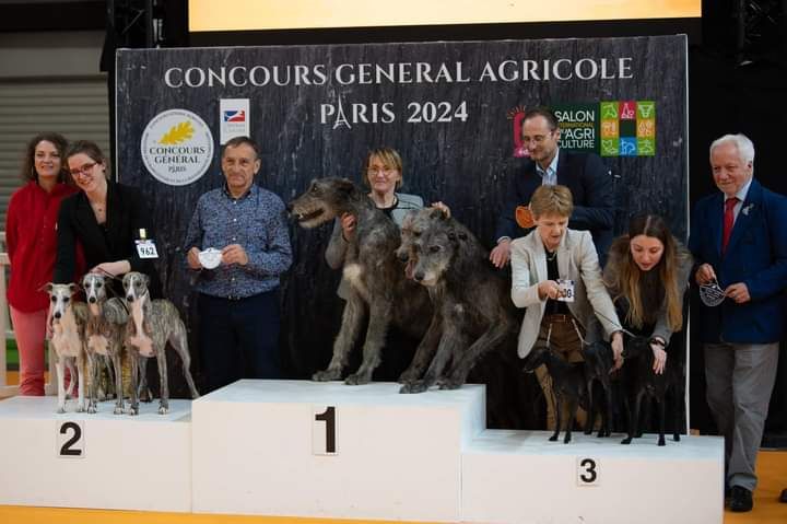 du mas de Canteperdrix - Le concours général agricole 