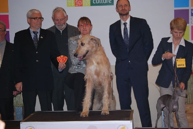 concours général agricole