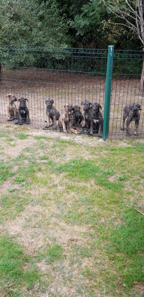 Les bébés grandissent...