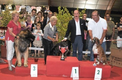 du jardin des Paulownias - SUR LE PODIUM....