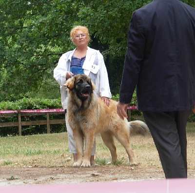 du jardin des Paulownias - régionale de Martiel 2009