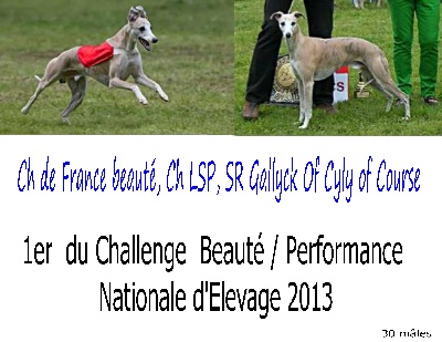 of Cyly of Course - Résultats du Challenge de la NE