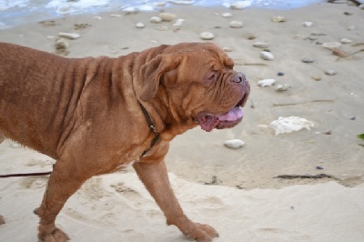 de l'ombre du cheytan - Photod de Genna, G'Zeus et Flash à la mer !!!!