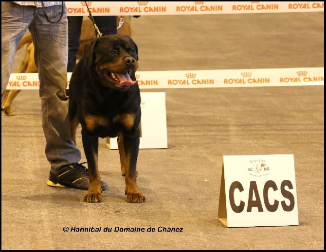 du Domaine de Chanez - Cacs Colmar 05.04.14