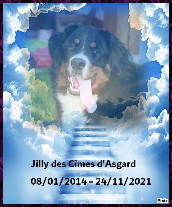 des Cimes d'Asgard - Adieu Jilly