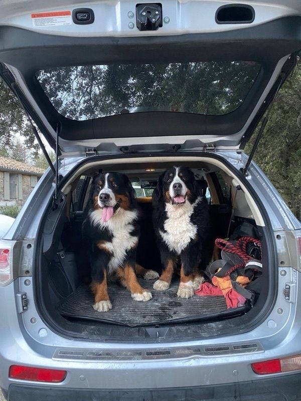 des Cimes d'Asgard - 11 ans pour Jeep 