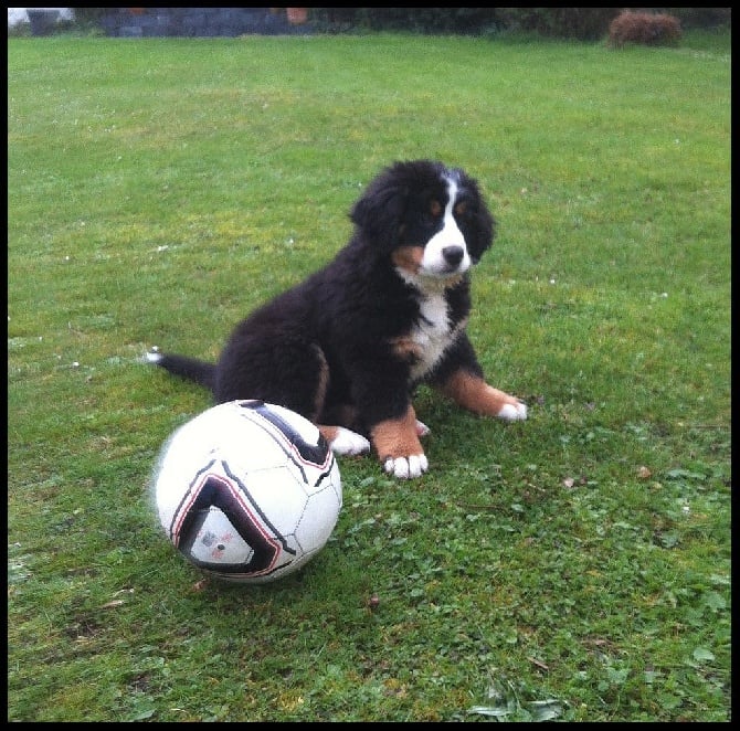 des Cimes d'Asgard - Joy s'initie au foot !