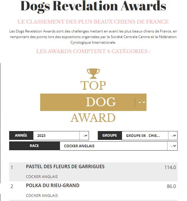 des Fleurs de Garrigues - CLASSEMENT TOP DOG - BREEDER