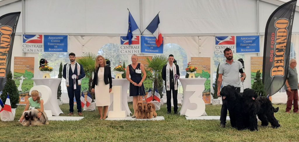 des Fleurs de Garrigues - EXPOSITION NATIONALE DIJON