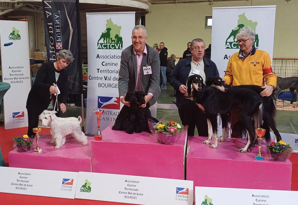 des Fleurs de Garrigues - 11-02-2024 EXPOSITION CACIB BOURGES