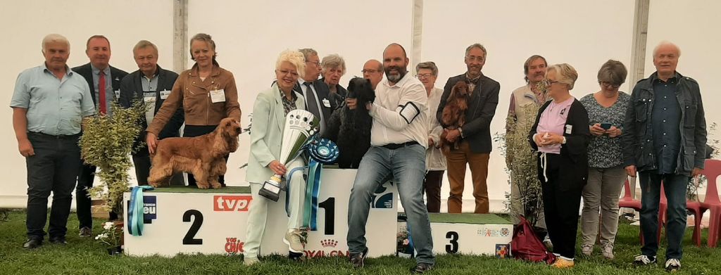 des Fleurs de Garrigues - RESERVE DE BEST IN SHOW 