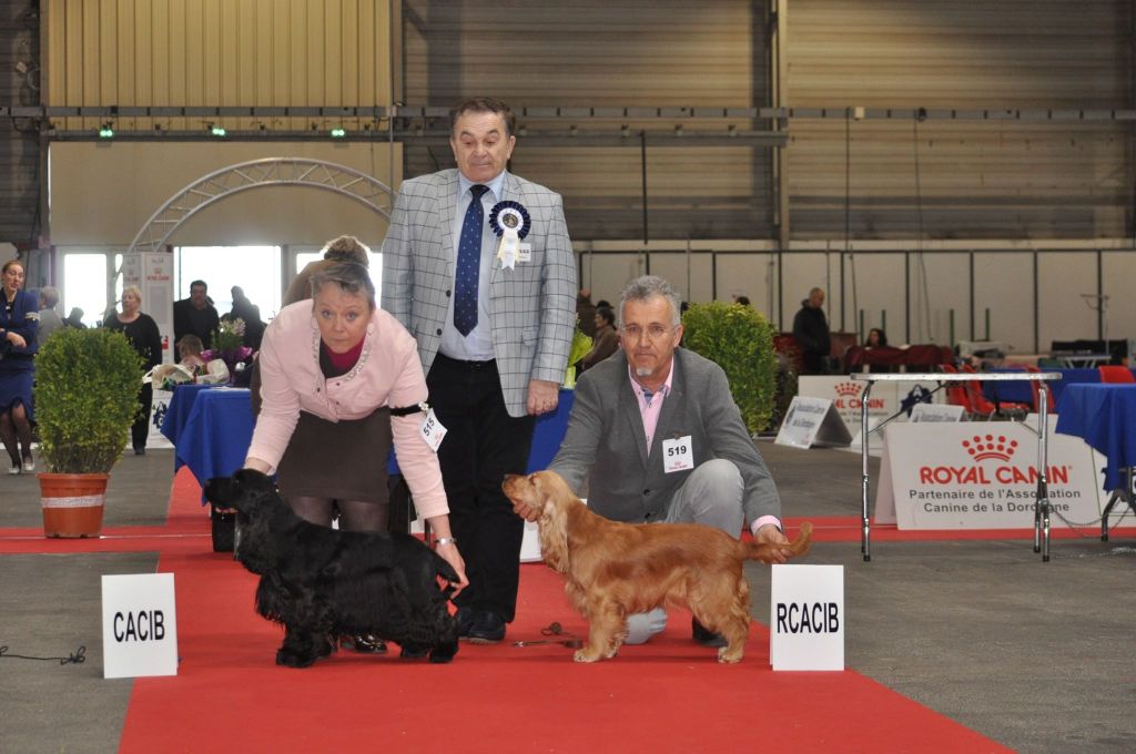 des Fleurs de Garrigues - International Dog Show Périgueux