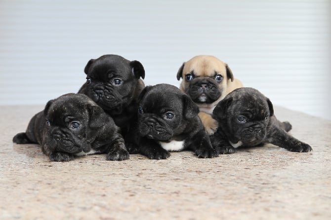 Nos Bébés ont un mois