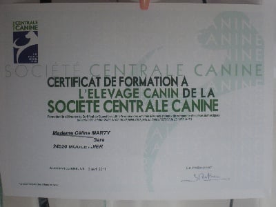 du pays de Gulliver - CERTIFICAT DE CAPACITE A L'ELEVAGE