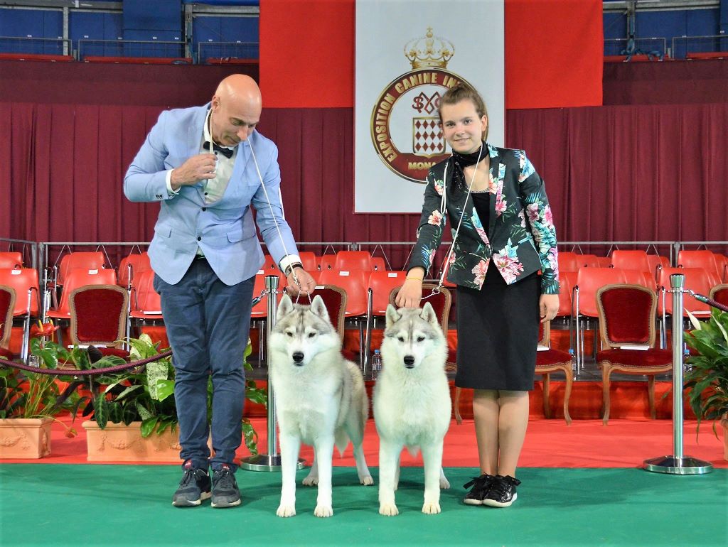 Monaco dog show