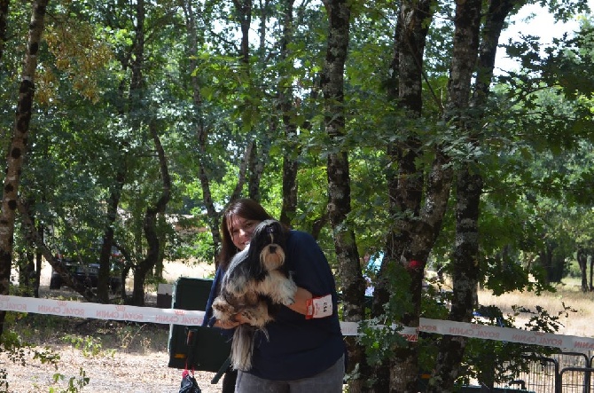 du lac de Cupidon - exposition biganos 2015