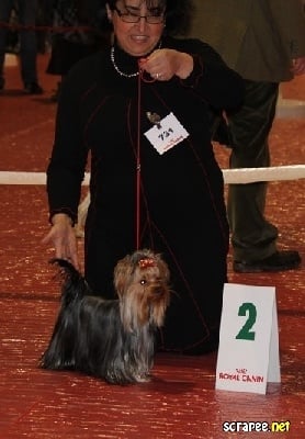 du royaume d'Inès - EXPOSITION  DE PERIGUEUX