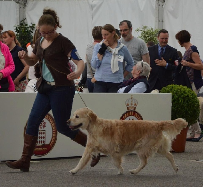 of Ghenalia's Loving Eyes - Ghalia obtient son titre de Championne Veteran de Monaco 2016