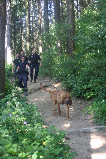 de l'antre de l'ours - entrainement Gringo gendarmerie Italienne