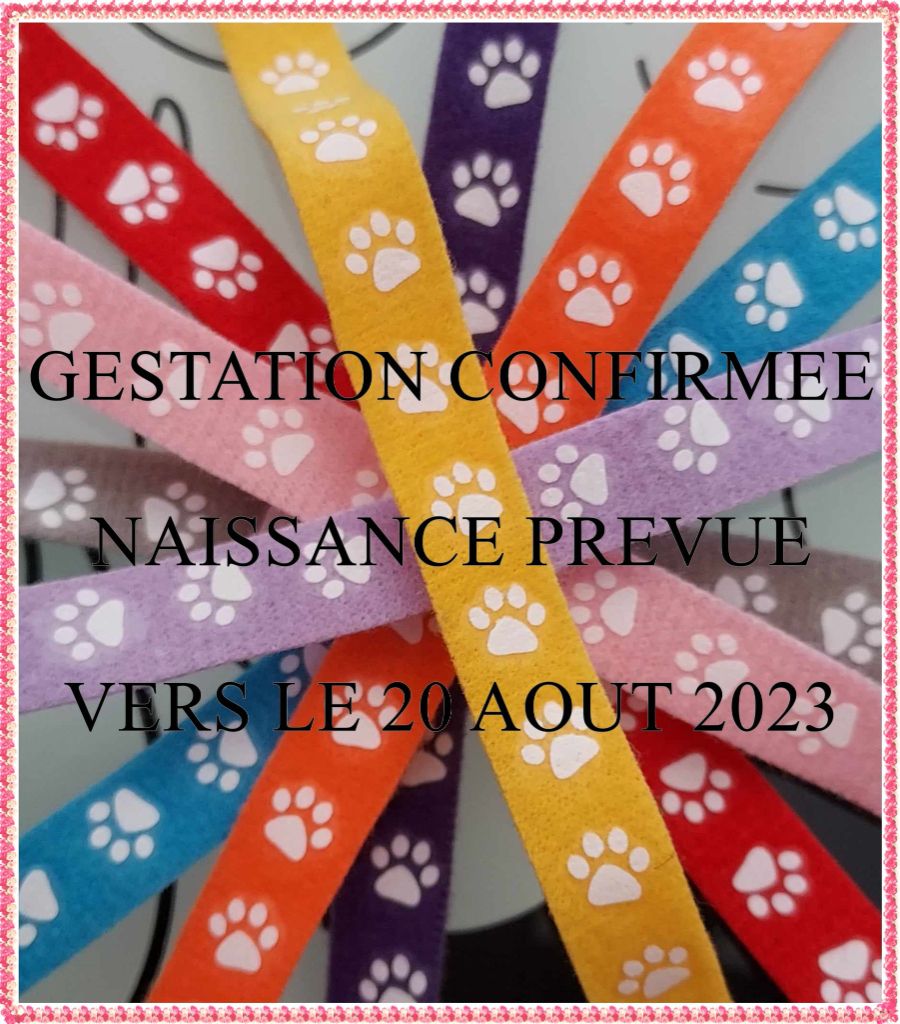 des sources de Boisloup - GESTATION CONFIRMEE