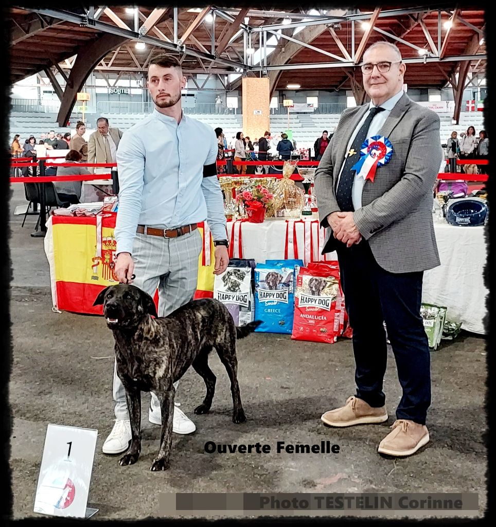 des sources de Boisloup - PARIS DOG SHOW 2023