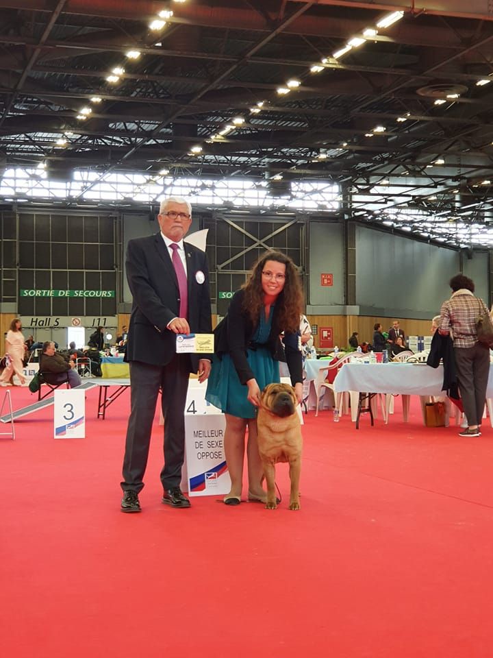 du grain de beauté - Championnat de France -PARIS -