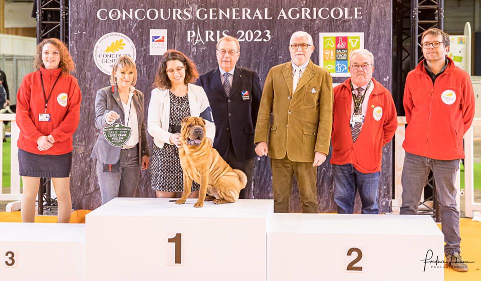 du grain de beauté - SALON DE L'AGRICULTURE 