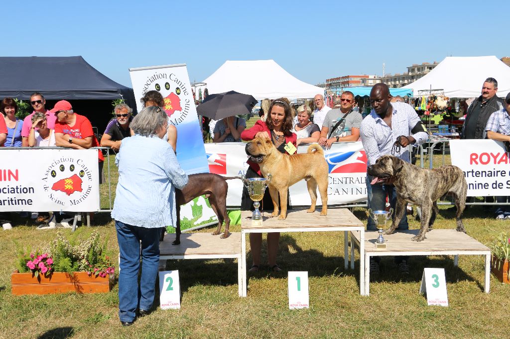 du grain de beauté - Spéciale de Race Dieppe 2016