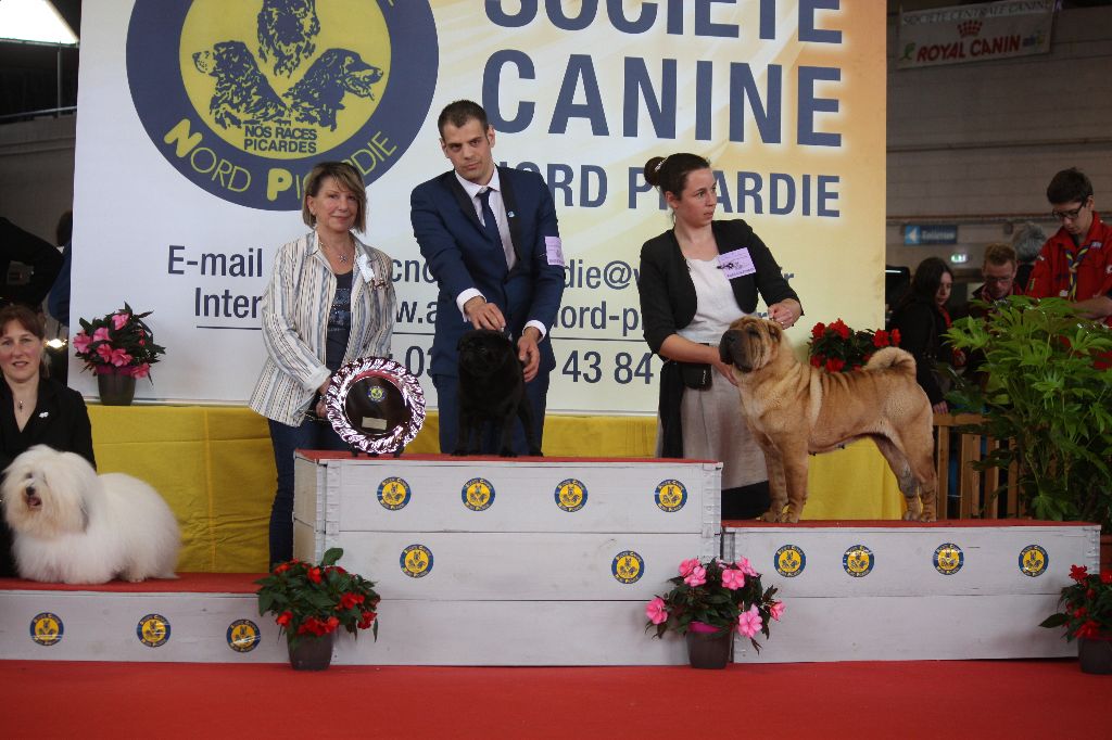 du grain de beauté - Un week end sans faute... AMIENS