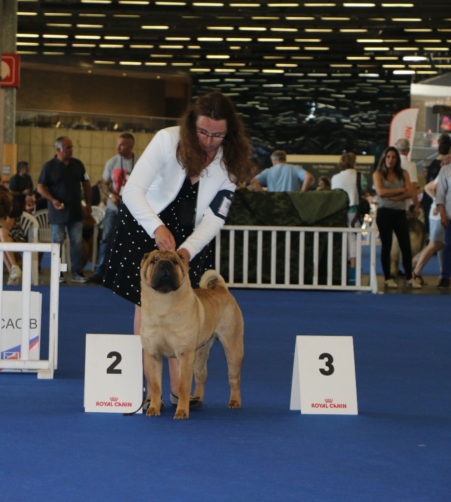 du grain de beauté - Championnat de FRANCE 