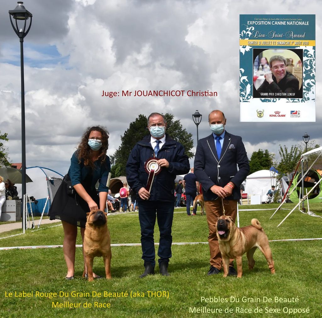 du grain de beauté - 1ère exposition de l'année pour Nous !