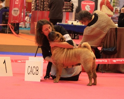 du grain de beauté - Bisou en Expo...