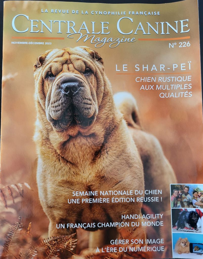 du grain de beauté - Magazine SCC