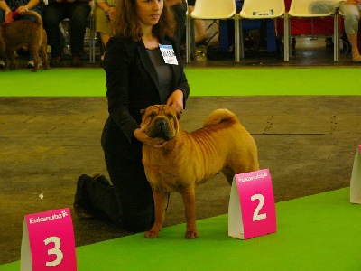 du grain de beauté - World Dog Show et Championnat de France