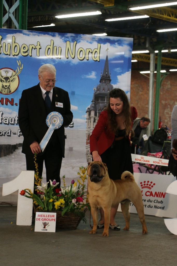 du grain de beauté - MAUBEUGE 2018