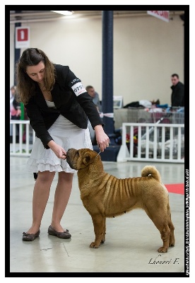 du grain de beauté - Bisou CHAMPIONNE INTERNATIONALE !!!!