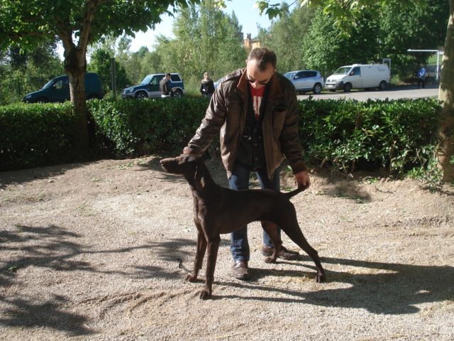 des dames de garonne - expo montclar de quercy