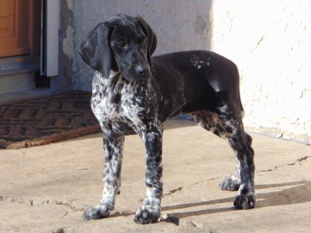 des dames de garonne - 2ème nouvelle recrue