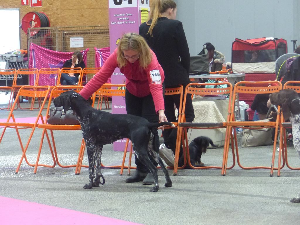 des dames de garonne - Expo Nantes