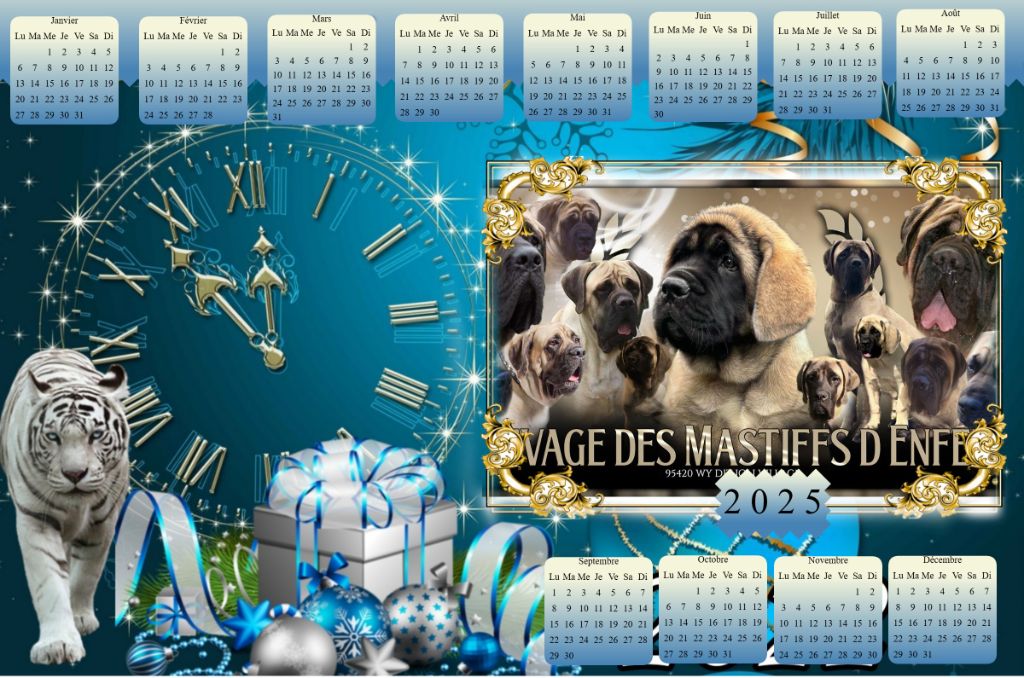 des Mastiffs d'Enfer - JOYEUSES FETES