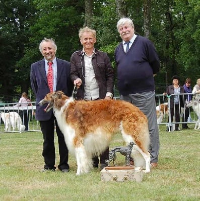 Vestnik meilleur barzoi de la Nationale d'élevage