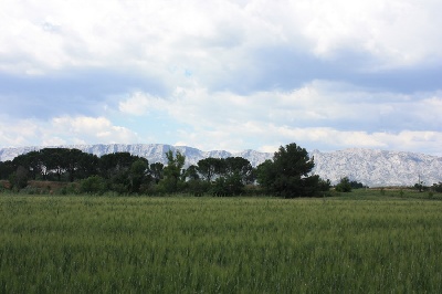 des écuries cathares - Nationale d'Elevage