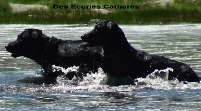 des écuries cathares - Randonnée dans les Pyrénées