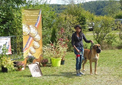 du domaine de Gauvin - Résultats expostion Nationale d'élevage Neuvic