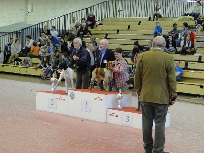 de la Roche des Aulnaies - Angers 2012 : une bonne journée pour GOLD et CYRUS