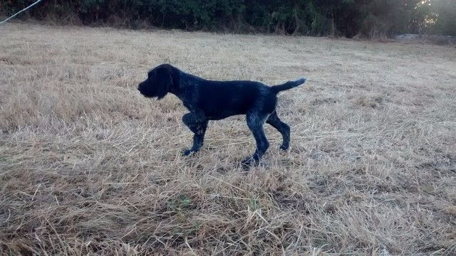 Lutin à l'eau !!!!