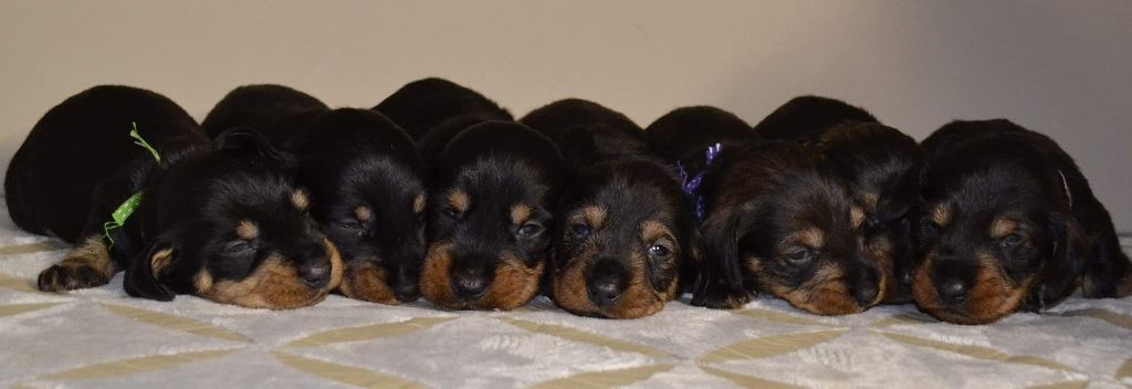 de la Cascade d'Orion - Les Bébés ont ouvert leurs yeux !