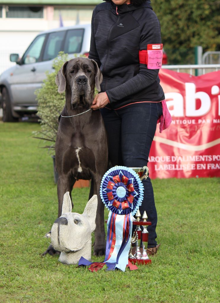 DE VALAVERGNY - BEST IN SHOW pour ma jolie Nikita à la Régionale de la Gripperie