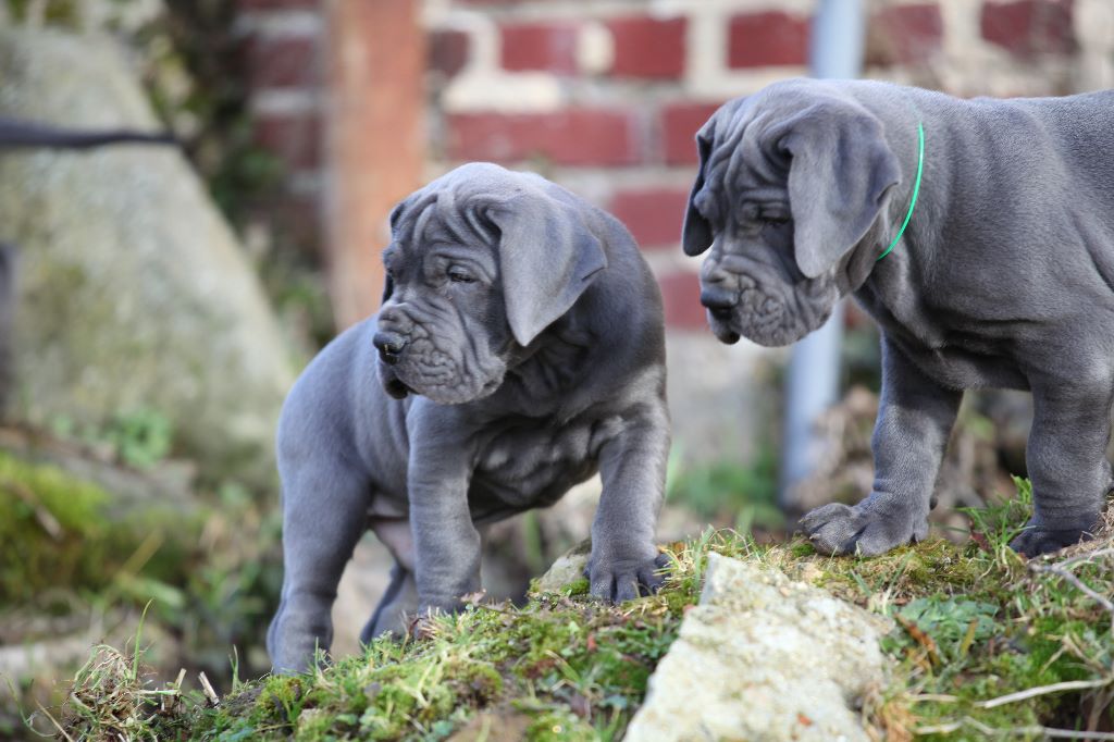 DE VALAVERGNY - Photos des bébés à 6 semaines